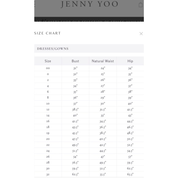 Jenny Yoo Inesse Chiffon V-Neck Spaghetti Strap Gown Floral Grey Multi Size 12 - Picture 12 of 12